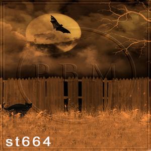 5'x8' ST664
